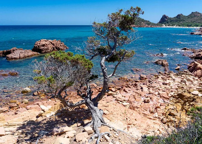 Bonora Vendégház Tortolì